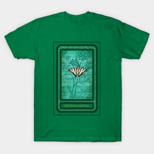 Iphiclides T-Shirt